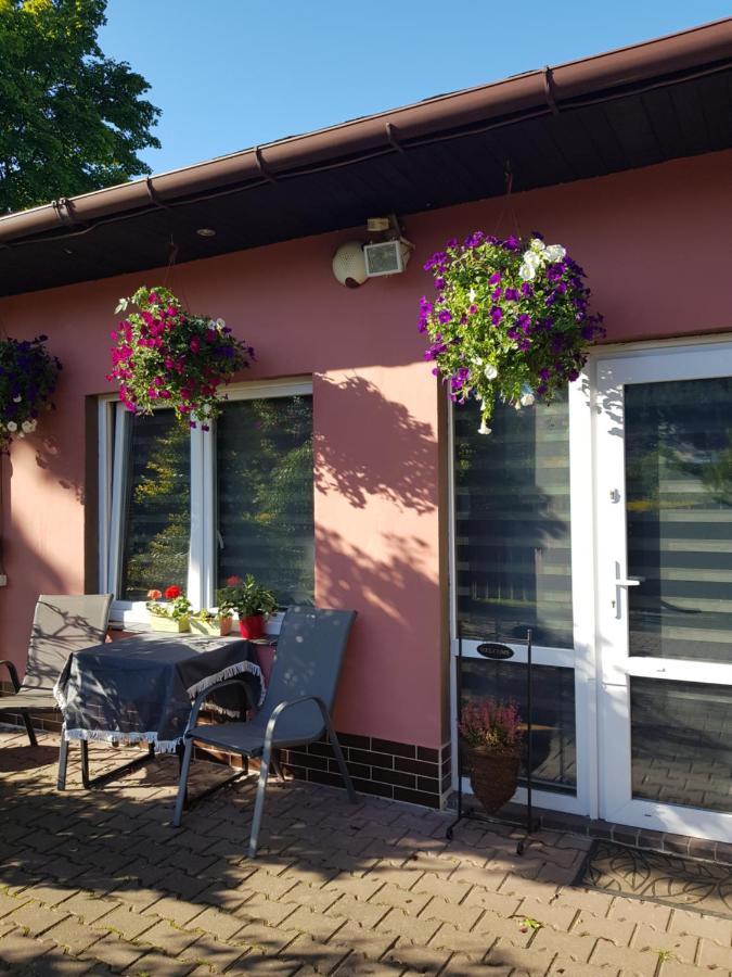 Apartament Lavender Jelenia Góra Buitenkant foto